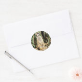 Stickers Meerkat (Enveloppe)