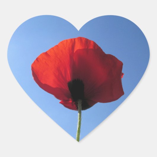 Stickers - Memorial Day Red Poppy Blue Sky (Devant)