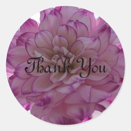 stickers Merci (Devant)