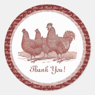 Stickers Merci de poulet Red Plymouth Rock