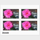 Stickers Merci rose Camellia (Feuille)