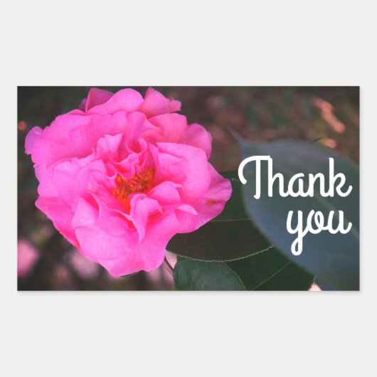 Stickers Merci rose Camellia (Devant)