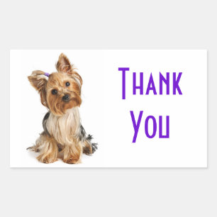 Stickers Merci Yorkshire Terrier Chien Chien Chien
