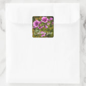 Stickers Merci Zebra Hollyhock Fleurs #2 (Sac)
