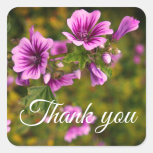 Stickers Merci Zebra Hollyhock Fleurs #2