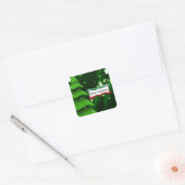 Stickers met de groene kerstboom (Envelop)