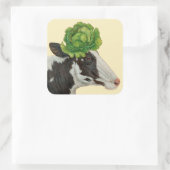 Stickers met een gaasje (Tas)