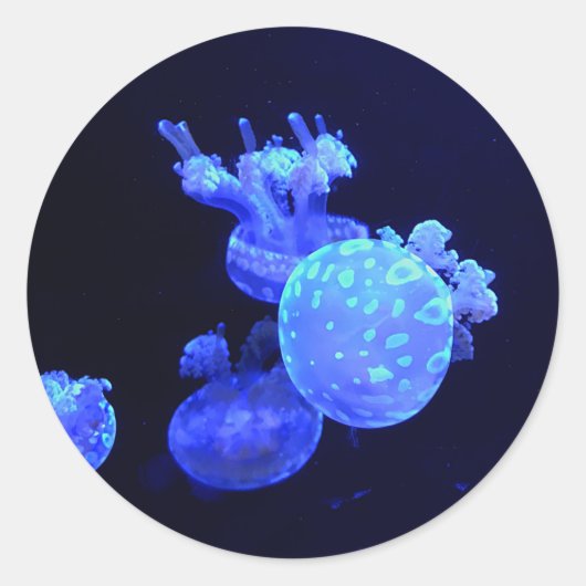 Stickers met gepotte lagoon Jelly #1 (Voorkant)