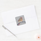 STICKERS MET KARDINAAL (Envelop)