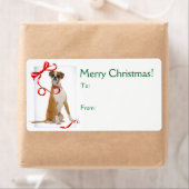 Stickers met kerstcadeaus voor Boxer (Insitu)