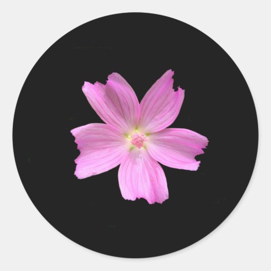 Stickers met spiermaag (Voorkant)