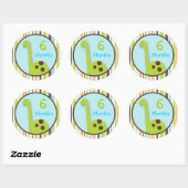 Stickers Milestone mensuels Dinosaur Lil Dino (Feuille)