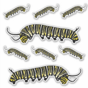 Stickers Monarque Papillon Caterpillar Illustré