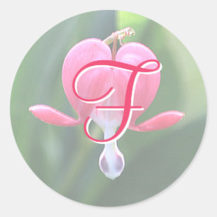 Stickers Monogramme F Carrosserie