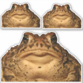 Stickers Monster Toad (Devant)