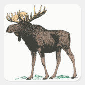 Stickers Moose (Devant)