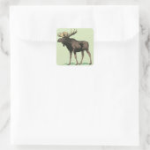 Stickers Moose (Sac)