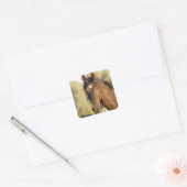 Stickers Morgan Horse (Enveloppe)