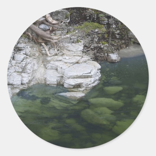 Stickers Motivation FOREST (Devant)