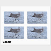 Stickers Mouette sur la plage (Feuille)