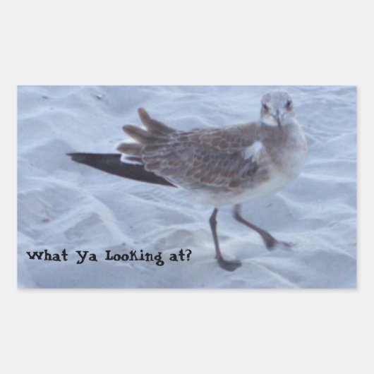 Stickers Mouette sur la plage (Devant)