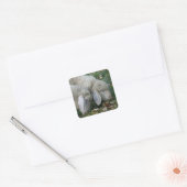 Stickers Moutons alpins (Enveloppe)