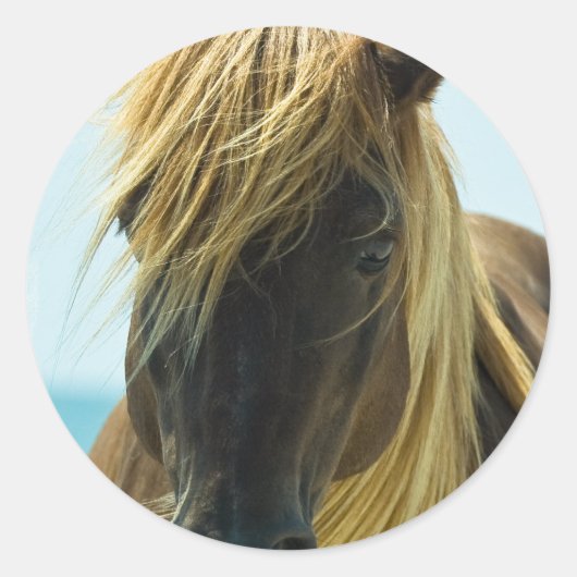 Stickers Mustang (Devant)