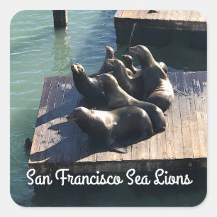 Stickers N° 2 du Sea Lions Pier 39 de San Francisc