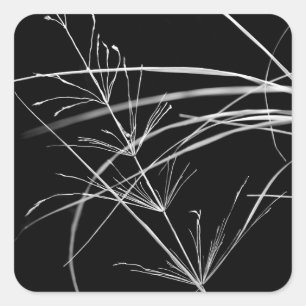 Stickers Nature Abstraite Grass