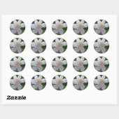 Stickers - Naturellement magnifique Gardenia (Feuille)