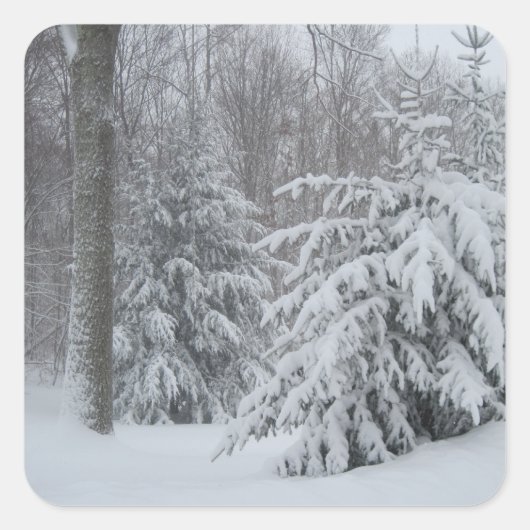 Stickers Neige En Nouvelle-Angleterre (Devant)