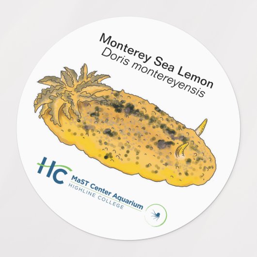 Stickers Nudi #2 (Design 1)