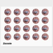 Stickers Nuthatch Bird (Feuille)