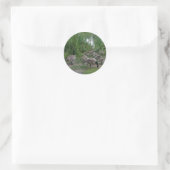 Stickers oies et oies (Sac)