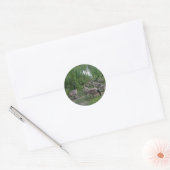 Stickers oies et oies (Enveloppe)