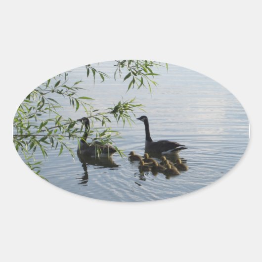 Stickers Oies sauvages (Devant)
