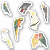 Stickers Oiseau Animaux (Devant)