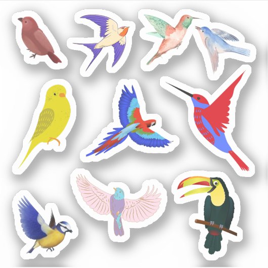 Stickers Oiseaux colorés (Devant)