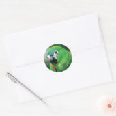Stickers Oiseaux de perroquets (Enveloppe)