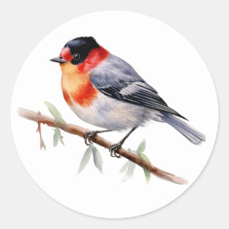 Stickers Oiseaux Paruline à visage rouge