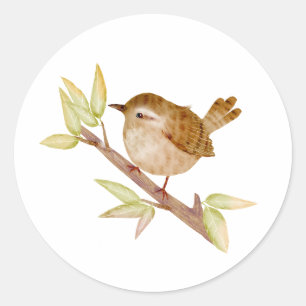 Stickers Oiseaux Wren