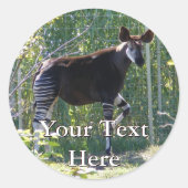 Stickers Okapi (Devant)