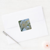 Stickers Oleander Blanc (Enveloppe)