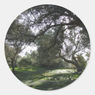 Stickers Olive Grove