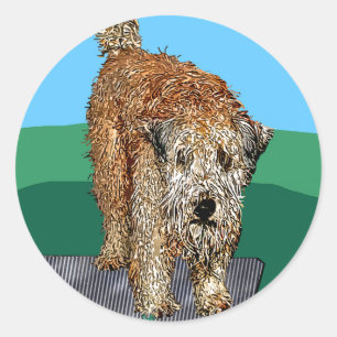 Stickers: "Ongelukkige camper" Ronde Sticker