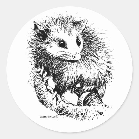 Stickers Opossum (Devant)