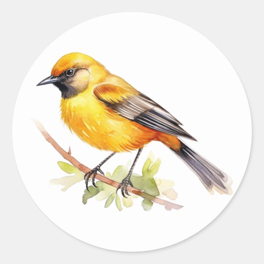 Stickers Orchard Oriole (Devant)