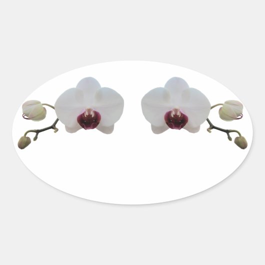 Stickers - Orchidée blanche à lèvres rubis (Devant)
