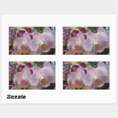 stickers Orchidées roses. *personnalisation* (Feuille)