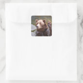 Stickers Ours Brown de bain (Sac)